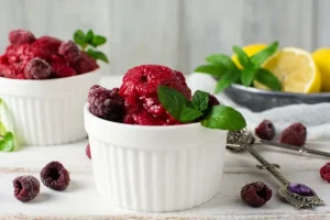 Sorbet Recipe Blender